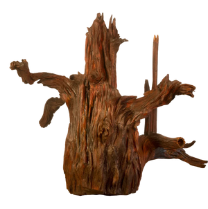 Oud With Oud (25kg)