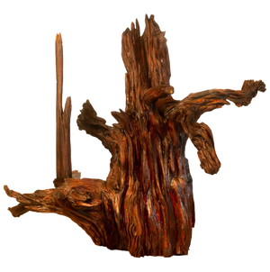 Oud With Oud (25kg)