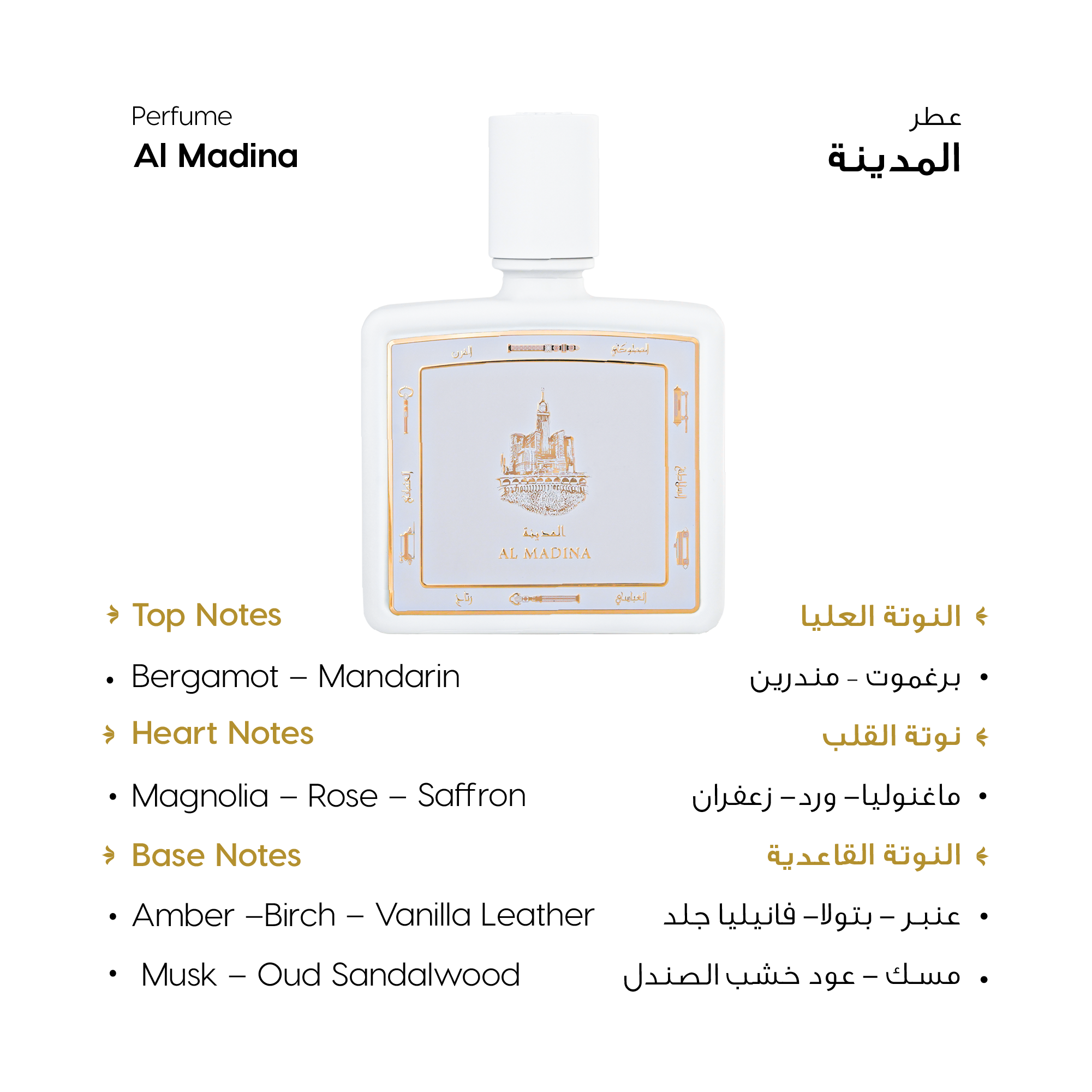 بوكس المدينة